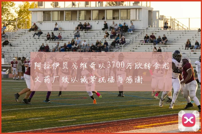 阿拉伊贝戈维奇以3700万欧转会尤文药厂致以诚挚祝福与感谢